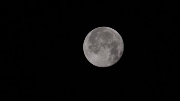 Luna Llena Castores Vista Desde Hertford Heath Reino Unido — Vídeo de stock