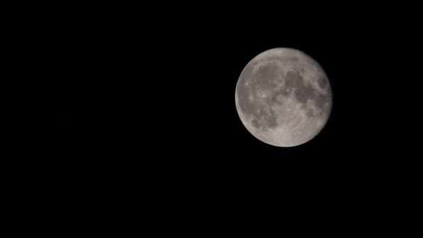 Der Vollmond Aus Der Sicht Von Hertford Heath Großbritannien — Stockvideo