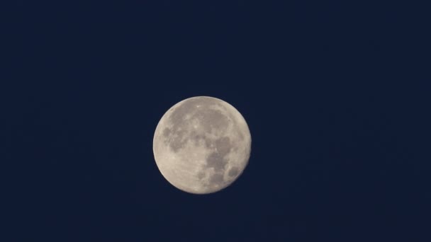 Full Harvest Moon Seen Hertford Heath — Stock video