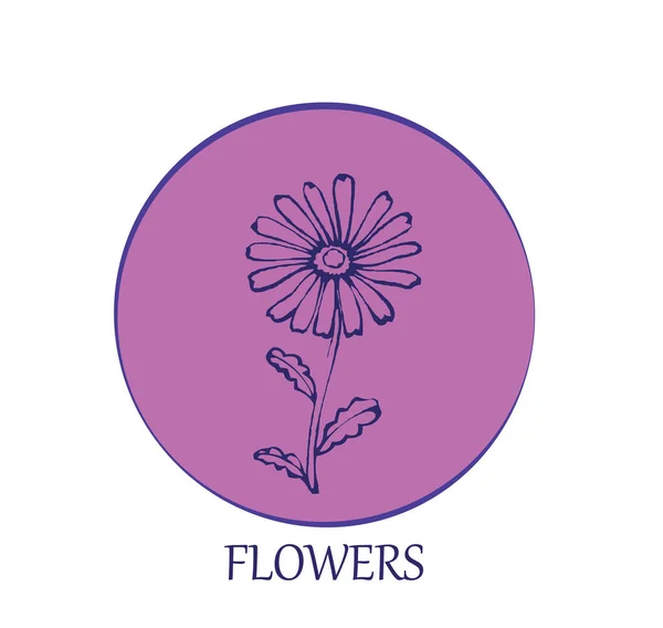 Ilustración Flores Con Arte Línea Sobre Fondos Blancos — Vector de stock