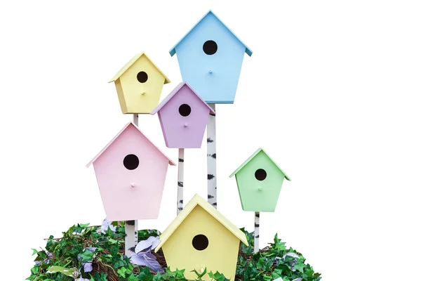 Jack casa storno per uccelli, casette in legno per uccelli in diverse co — Foto Stock