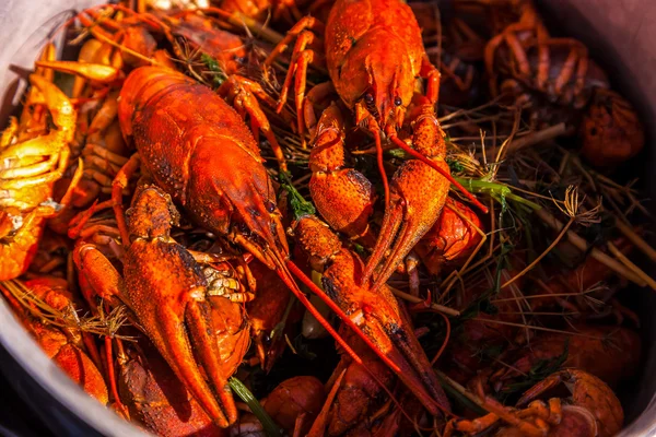 Crayfish for beer, boiled crustaceans, crayfish, beer snacks, go — Stock Photo, Image