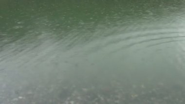 Video yağmur damlaları düşen