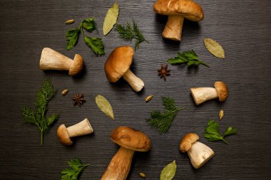 Beyaz orman mantarları otlar ve baharatlarla kaplanmış karanlık bir arka planda. Tahta masadaki taze mantarlar..