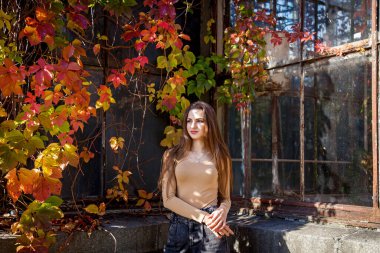 Uzun saçlı, mayo giymiş ve kot pantolonlu bir kız sonbahar parkında arka planda vahşi üzümlerle kaplı bir duvarın arkasında poz veriyor. Parktaki kızlar yabani üzümlerin arka planında