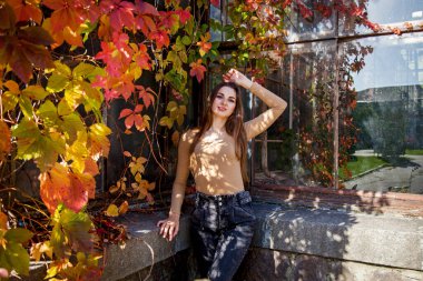 Uzun saçlı, mayo giymiş ve kot pantolonlu bir kız sonbahar parkında arka planda vahşi üzümlerle kaplı bir duvarın arkasında poz veriyor. Parktaki kızlar yabani üzümlerin arka planında
