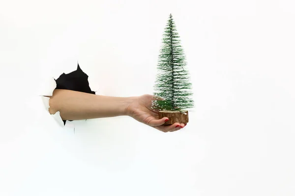 Kvinnlig Hand Med Röd Manikyr Ett Sönderrivet Hål Vit Bakgrund — Stockfoto