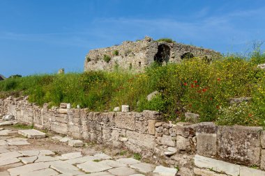 Türkiye Kenti 'nin sütunları ve kalıntıları olan eski taş yol