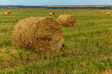 haystack, hay, background, rural, field, farm, summer, wheat, agriculture