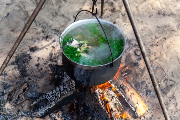 Sopa de peixe — Fotografia de Stock