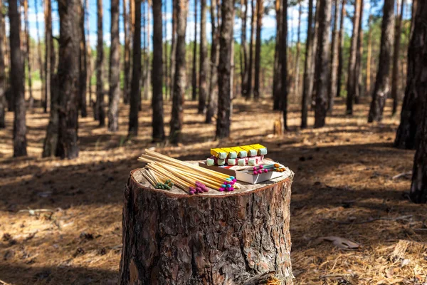 Wedstrijden bomen woud — Stockfoto