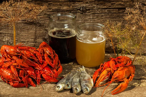 Cánceres a la cerveza, eneldo, cangrejo hervido, bocadillos de cerveza, pub, textura, cangrejos de río, cangrejos de mar — Foto de Stock