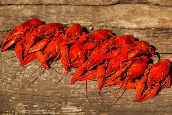 Cancri alla birra, aneto, gamberi bolliti, snack di birra, pub, consistenza, gamberi, gamberi di mare — Foto Stock