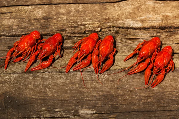 Cancri alla birra, aneto, gamberi bolliti, snack di birra, pub, consistenza, gamberi, gamberi di mare — Foto Stock