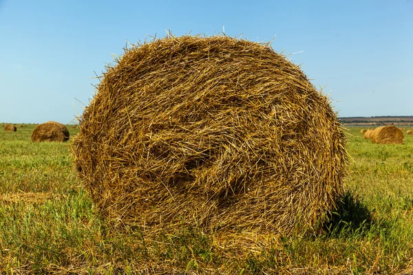 Haystack, hay, background, rural, field, farm, summer, wheat, agriculture — Stock Photo, Image