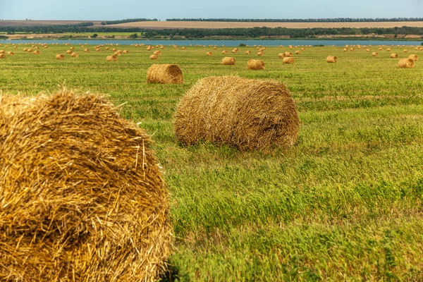 Haystack, hay, background, rural, field, farm, summer, wheat, agriculture — Zdjęcie stockowe