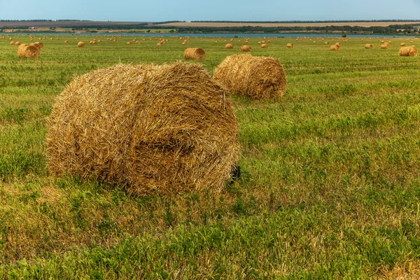 Meule de foin, foin, arrière-plan, rural, champ, ferme, été, blé, agriculture — Photo