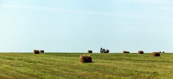 Haystack, hay, background, rural, field, farm, summer, wheat, agriculture — Stock Fotó