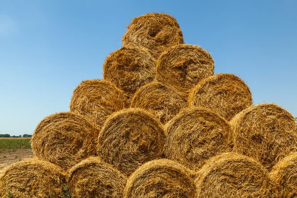 Meule de foin, foin, arrière-plan, rural, champ, ferme, été, blé, agriculture — Photo