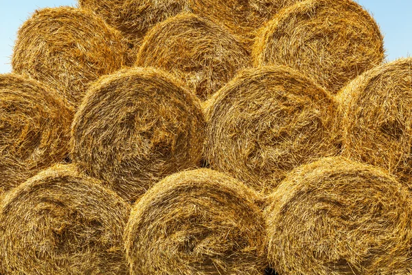 Haystack, hay, background, rural, field, farm, summer, wheat, agriculture — Zdjęcie stockowe