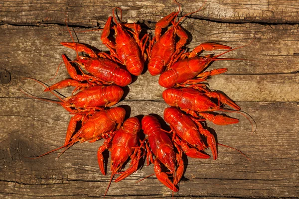 Cancers to beer, dill, boiled crawfish, beer snacks, pub, texture, crayfish, sea crayfish — Stock Image Cancers to beer, dill, boiled crawfish, beer snacks, pub, texture, crayfish, sea crayfish Royalty Free Stock Images