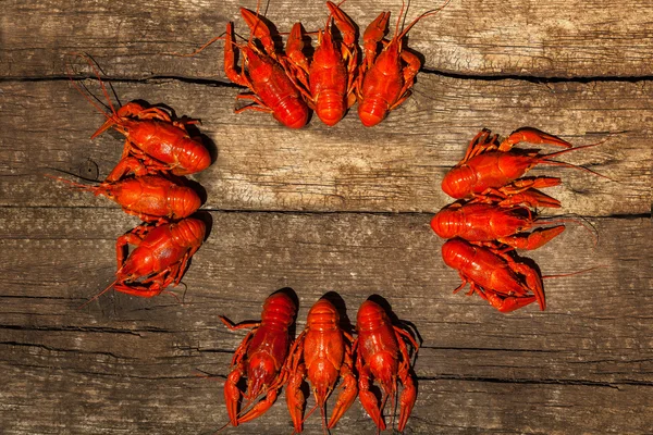 Cancers to beer, dill, boiled crawfish, beer snacks, pub, texture, crayfish, sea crayfish — Stock Image Cancers to beer, dill, boiled crawfish, beer snacks, pub, texture, crayfish, sea crayfish Stock Picture