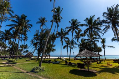 Mombasa, plaj, mombasa plajında avuç içi,