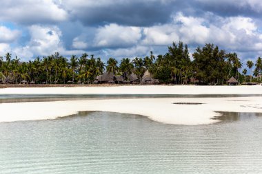 Coast of Mombasa, Kenya, Africa, beach, kenya, mombasa, white, tropical, sand, coast