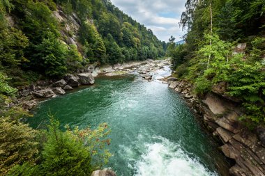 mountain river, stones, water flow, the roots of the trees, landscape, wildlife, river, mountain, stream, water, waterfall, nature
