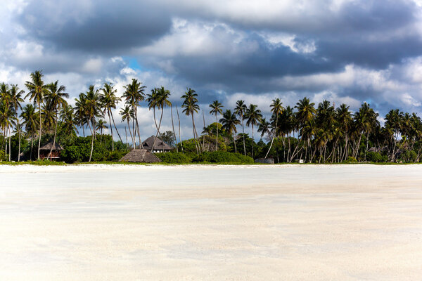 Coast of Mombasa, Kenya, Africa, beach, kenya, mombasa, white, tropical, sand, coast