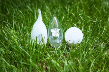 LED bulbs, Energy Saving Lamp, advanced technology, eco, grass, lamp, white, energy, lighting, lights, green
