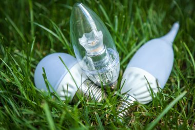 LED bulbs, Energy Saving Lamp, advanced technology, eco, grass, lamp, white, energy, lighting, lights, green