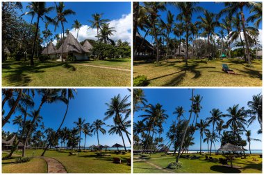 Palms on the beach in Mombasa, beach, mombasa, Kenya collage