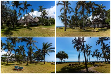 Palms on the beach in Mombasa, beach, mombasa, Kenya collage