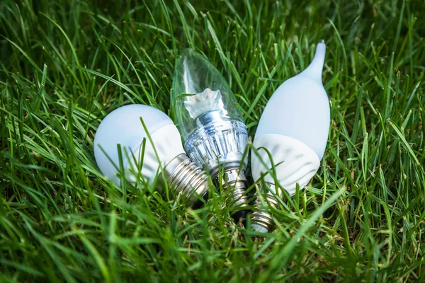 LED bulbs, Energy Saving Lamp, advanced technology, eco, grass, lamp, white, energy, lighting, lights, green