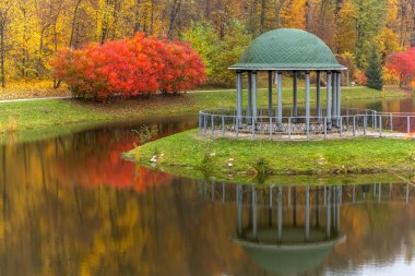 park, autumn, nature, panorama, landscape, garden, colorful tree