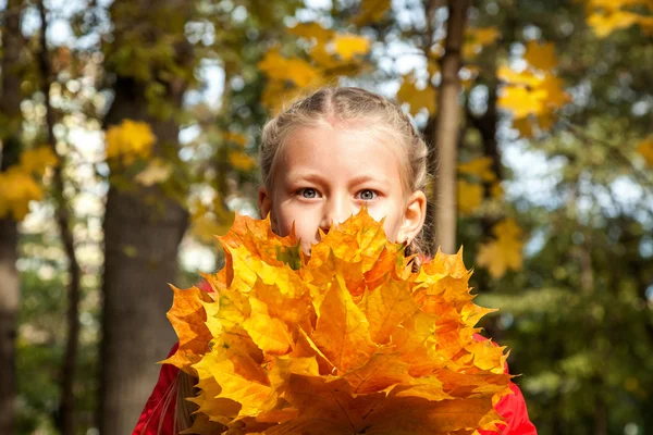 Дитина з жовтим листям, букет жовтого листя, опале листя — стокове фото