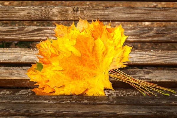 Folhas de bordo amarelas, parque de outono, tempo de outono dourado, o amarelo — Fotografia de Stock
