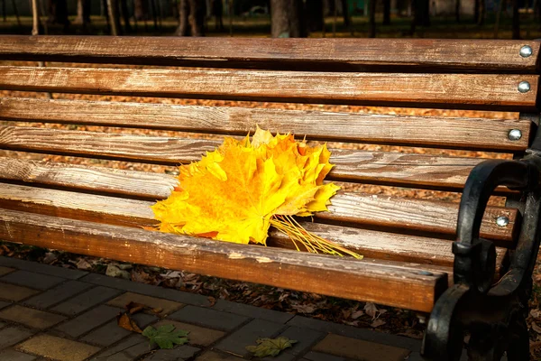 Folhas de bordo amarelas, parque de outono, tempo de outono dourado, o amarelo — Fotografia de Stock