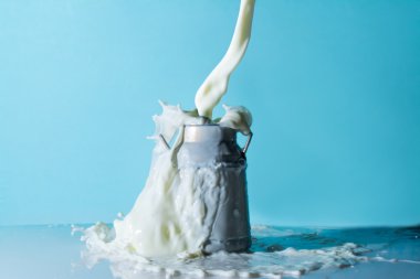 Süt, akımı süt jet sıçramalarına dökülen süt bir tenekeye dökme 