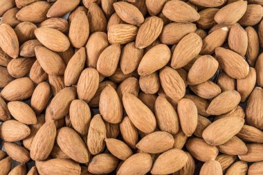 Badem fındık arka plan dokusu 