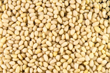 Çam fıstığı arka plan dokusu 