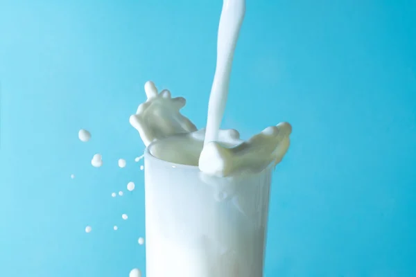 Éclaboussure de lait dans le verre, verser jet de lait dans un verre sur fond bleu — Photo