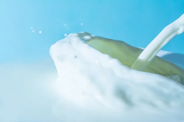 Splashes of milk on the surface of the milk on a light blue background