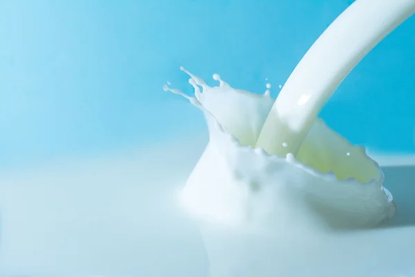 Éclaboussures de lait à la surface du lait sur un fond bleu clair — Photo