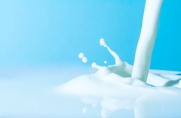 Spruzzi di latte sulla superficie del latte su fondo azzurro — Foto Stock