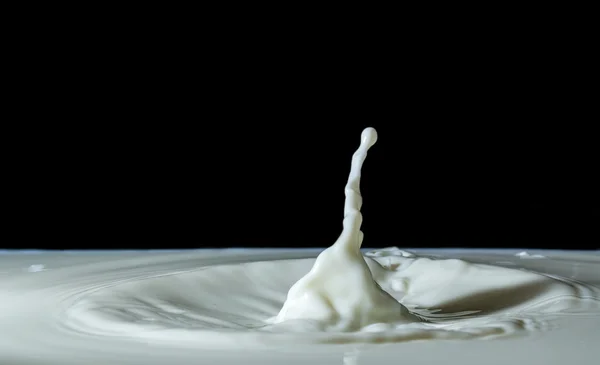 Splashing milk isolated on black background — Stock Photo, Image