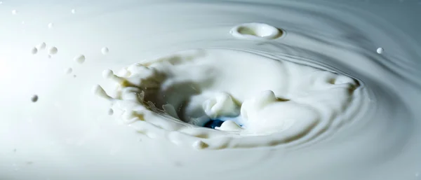 Splashing milk on the surface of the milk