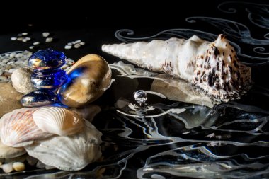Yansıma ile suda deniz kabukları ve siyah düşen damla ile 