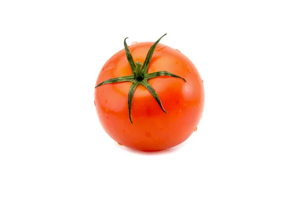 Tomato close-up isolated on white background — Stock Photo, Image